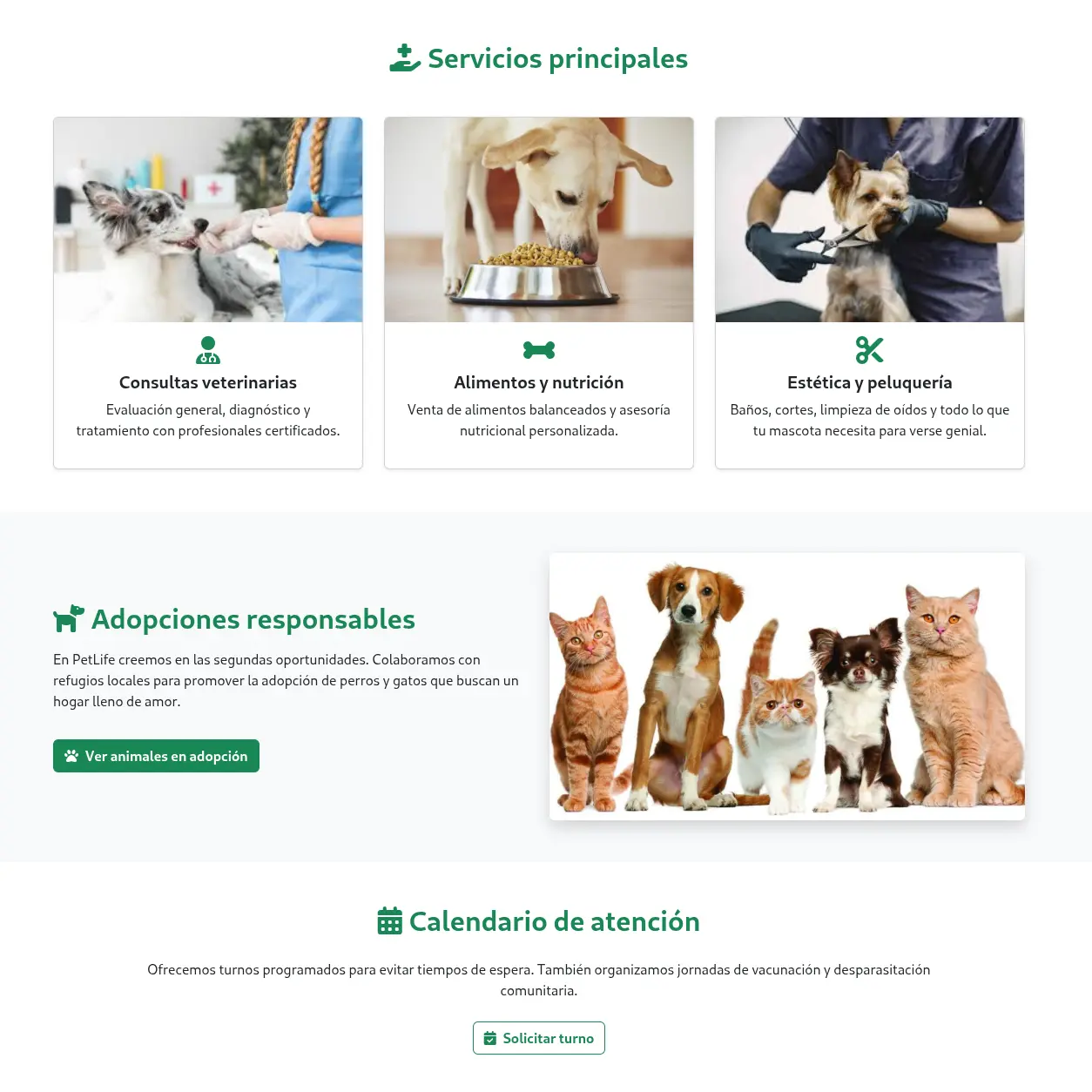 Escala tu negocio en Internet